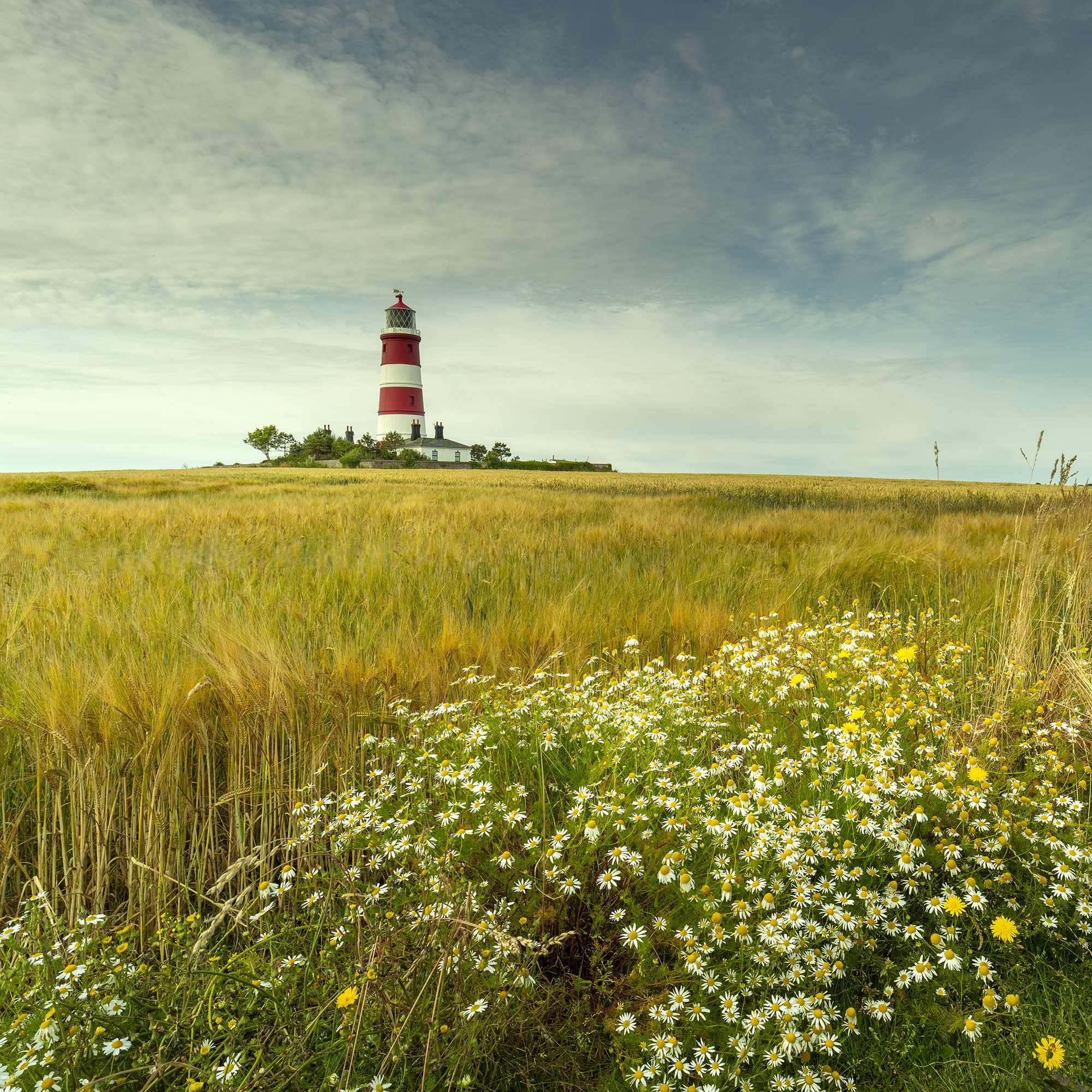 Happisburgh Lighthouse Landscape Photography